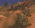 SS_009.jpg